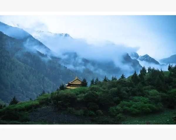 化痰清肺食疗方剂大全：轻松调理呼吸系统的常用健康秘方