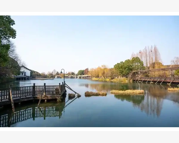 化痰清肺，健康相伴——中医智慧探秘
